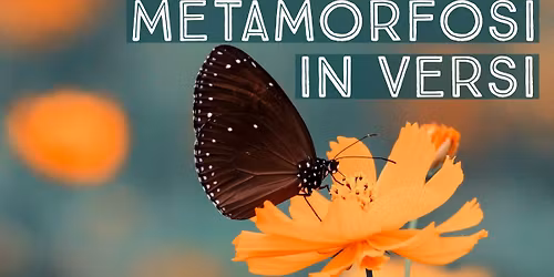 Le stanze di Emily di Lella De Marchi