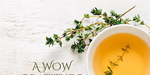 NOVEMBER WOW GATHERING - A WOW GRATITUDE TEA PARTY