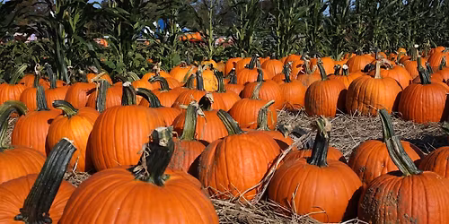 On the Road Tour - Explore East County Farms: Fall Harvest & Native Plants
