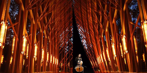 APO in Concert: American Essence