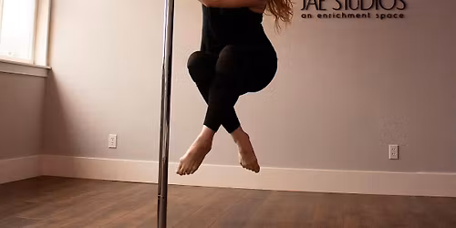 Introduction to the Art of Pole Dance