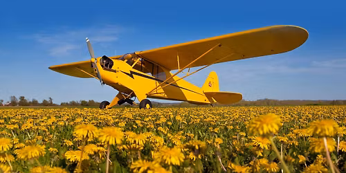 Fergus Falls Air Red White and Wings