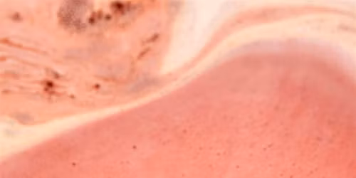 Sticky Dates Bath Bomb Making