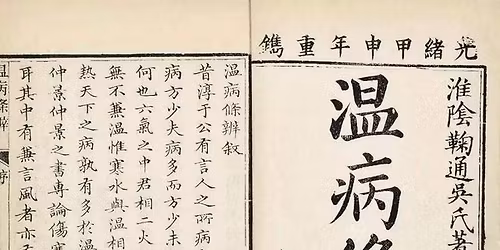 Etude des Maladies de Ti\u00e9deur - Wen bing xue \u6e29\u75c5\u5b66