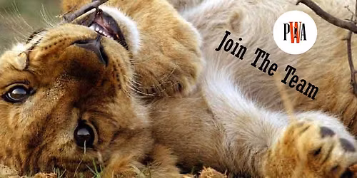 Kilimanjaro Expedition\/African Safari\/Zanzibar trip 2026