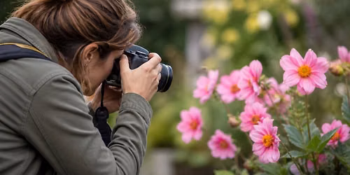 Beginner Photography Class: with Cindy Naylor