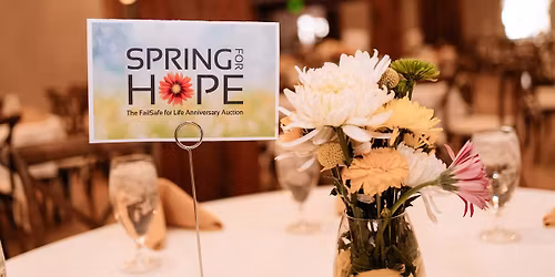 FailSafe for Life's Spring for Hope Anniversary Auction