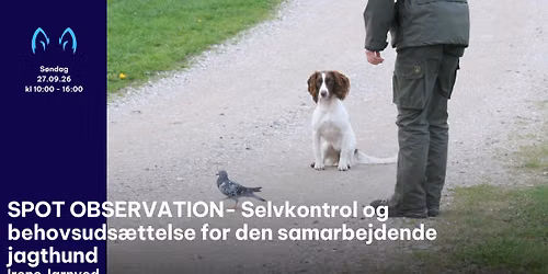 SPOT - OBSERVATIONEN Selvkontrol og behovsuds\u00e6ttelse for den samarbejdende jagthund - S\u00f8ndag 27.09