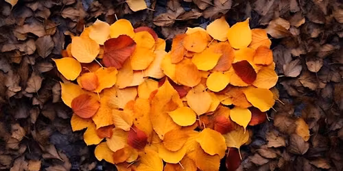 Oto\u00f1o \u00bfQu\u00e9 te sugiere?