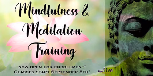Mindfulness & Meditation Training