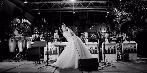 2026 Tiverton Summer Concert Series: The New Providence Big Band
