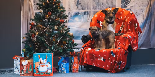 Koerte Spordikeskus J\u00f5ulupidu 2025