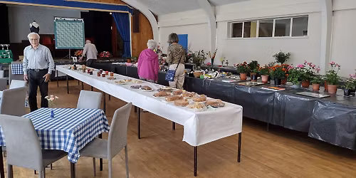 \u2728 \ud83e\udde0 Quiz Night \ud83e\udde0\u2728