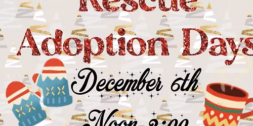 DFWBR December Adoption Day Event