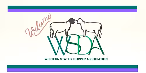 Western States Dorper Show and Sale