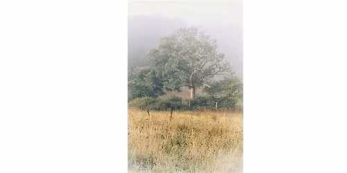 NU Ideas | Season 4 Talk 5 | Rewilding  & limits of Universality