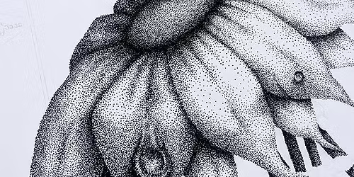 Texture & Detail Drawing - Explore texture, shadow, & imagination in this quirky art class for all!