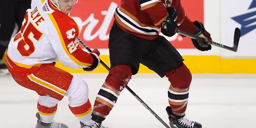 Bakersfield Condors vs. Calgary Wranglers