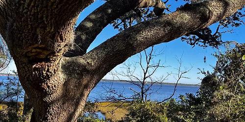 The Friends of BTFA Present- A Tapestry of Time: The Many Perspectives of Brunswick