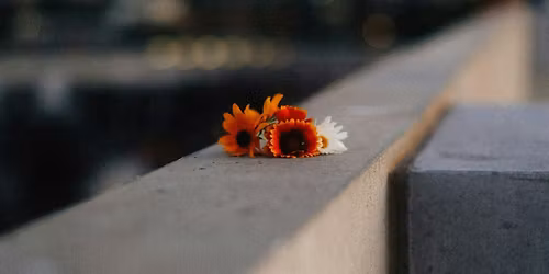 Healing the Mind through Opening the Heart. Meditation Retreat with Ian