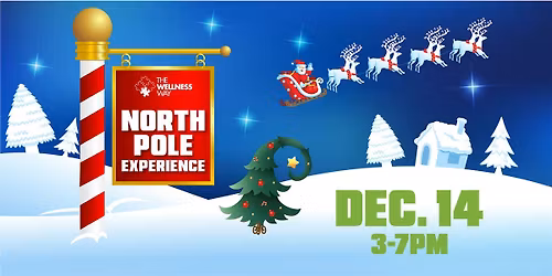 The North Pole  Experience