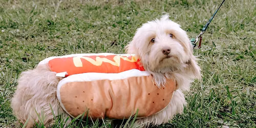 2026 Garrett's Mutt Strut