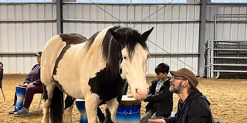 Drum Circle with Horses