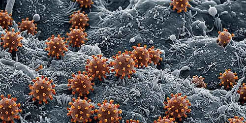 The Secret "Life" of Viruses