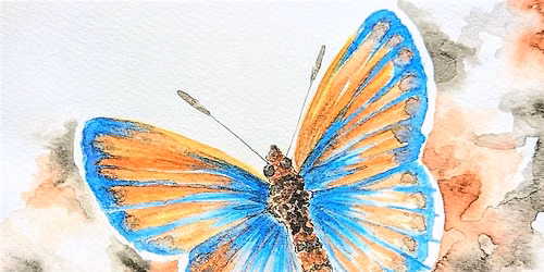 Watercolor for Adults