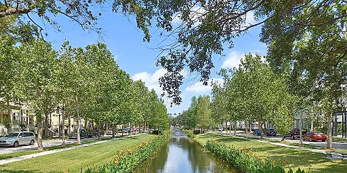 WAF34: Celebration 6 & 10K Walk