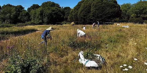 The Conservation Volunteers - Crane Park A316 Meadow Management