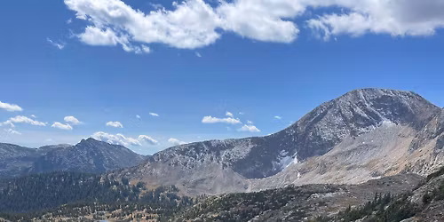 Morning Meditation Walks