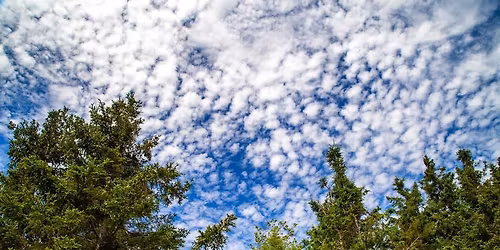 March\u00e9 d'artisanat des Aventuriers