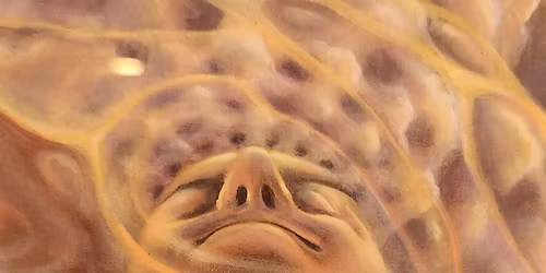 "Going In" - 6 Part Meditation Series, Part 4 of 6 (LATER CLASS)