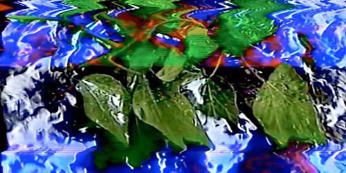 Fluid Earth Conference