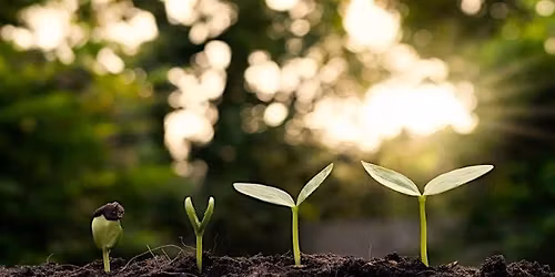 Chair Yoga Fundraiser to benefit Carolynn Foundation