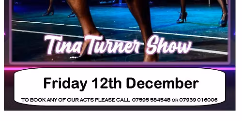 Tina Turner Tribute Night - 12th December