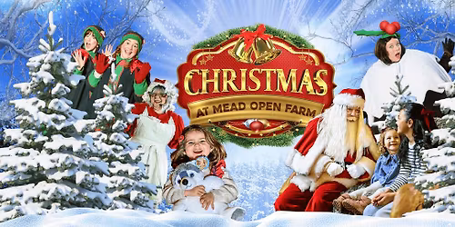 Christmas at Mead Open Farm