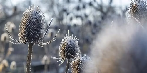 Winter British Sign Language Garden Tour - Royal Botanic Garden Edinburgh