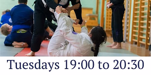 Gi Fundamentals Course (BJJ Brazilian Jiu Jitsu)