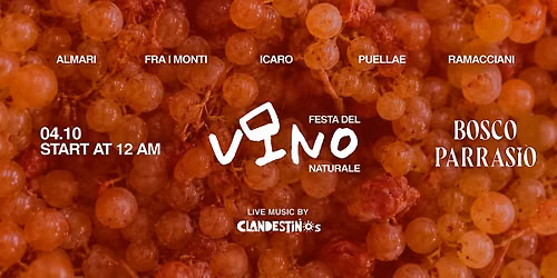 Festa del vino naturale
