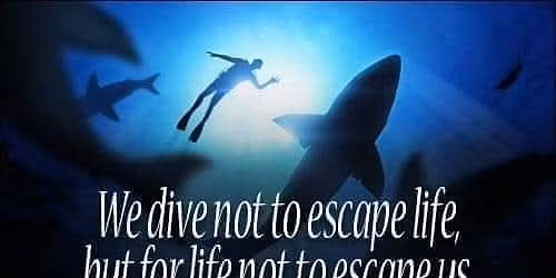 KW Scuba Social