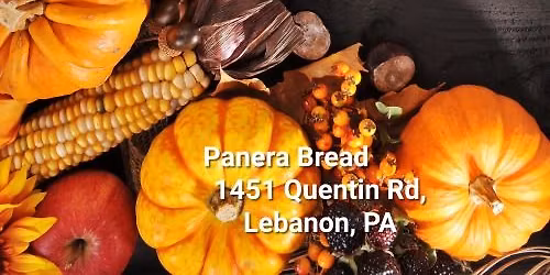 November Sit n' Knit