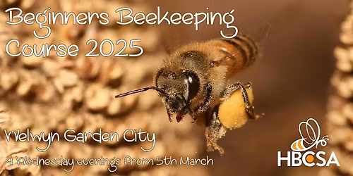Beginners Beekeeping Course 2026
