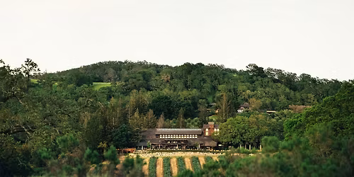 Dig Truffles? Foodie Experience & Truffle Lunch at Joseph Phelps