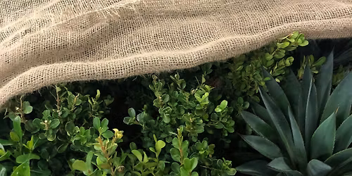 (PAHRUMP) Winterize Your Landscape Seminar