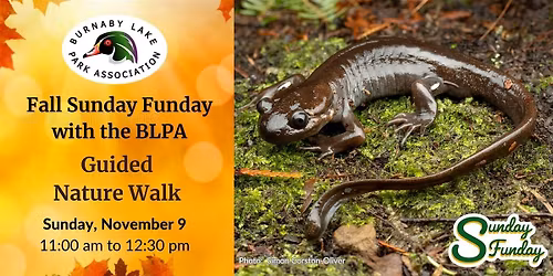 Fall Sunday Funday with the BLPA  - Guided Nature Walk