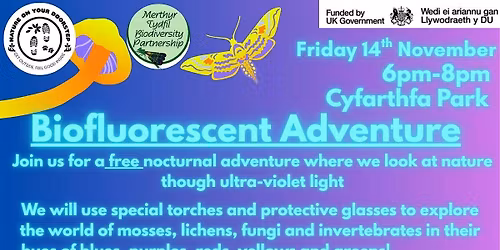 Biofluorescent Adventure