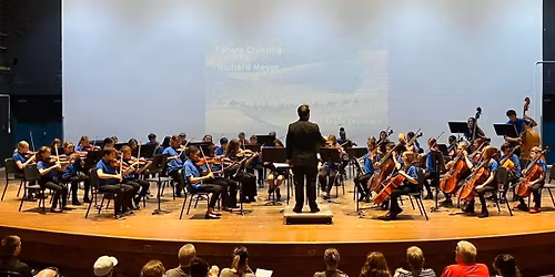 MSMS Spring Orchestra Concert