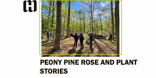 Peonies Pine Rose and Plant Stories at Walden Peak Farm 
